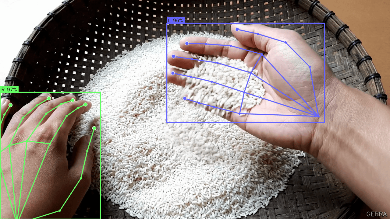 Spreading Rice, a generated frame with the estimated body pose drawn over it
